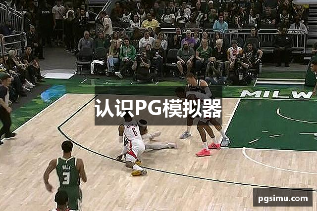 认识PG模拟器